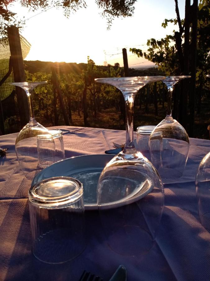 フラスカティ Poggio Agli Uliviヴィラ エクステリア 写真