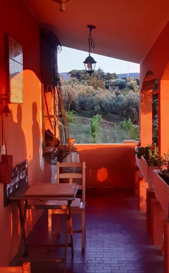 フラスカティ Poggio Agli Uliviヴィラ エクステリア 写真