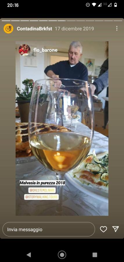 フラスカティ Poggio Agli Uliviヴィラ エクステリア 写真