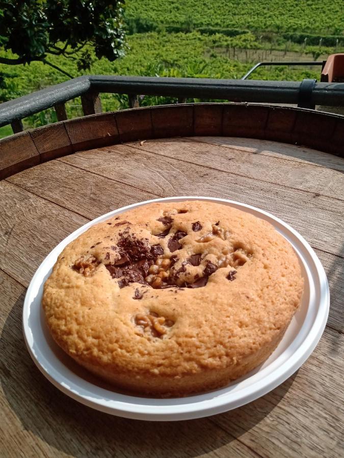 フラスカティ Poggio Agli Uliviヴィラ エクステリア 写真