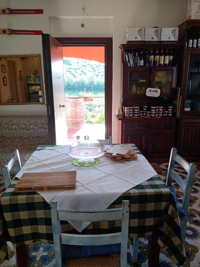 フラスカティ Poggio Agli Uliviヴィラ エクステリア 写真
