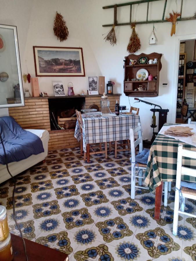 フラスカティ Poggio Agli Uliviヴィラ エクステリア 写真