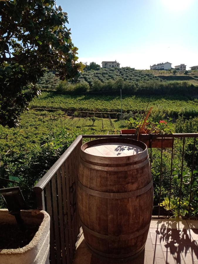 フラスカティ Poggio Agli Uliviヴィラ エクステリア 写真