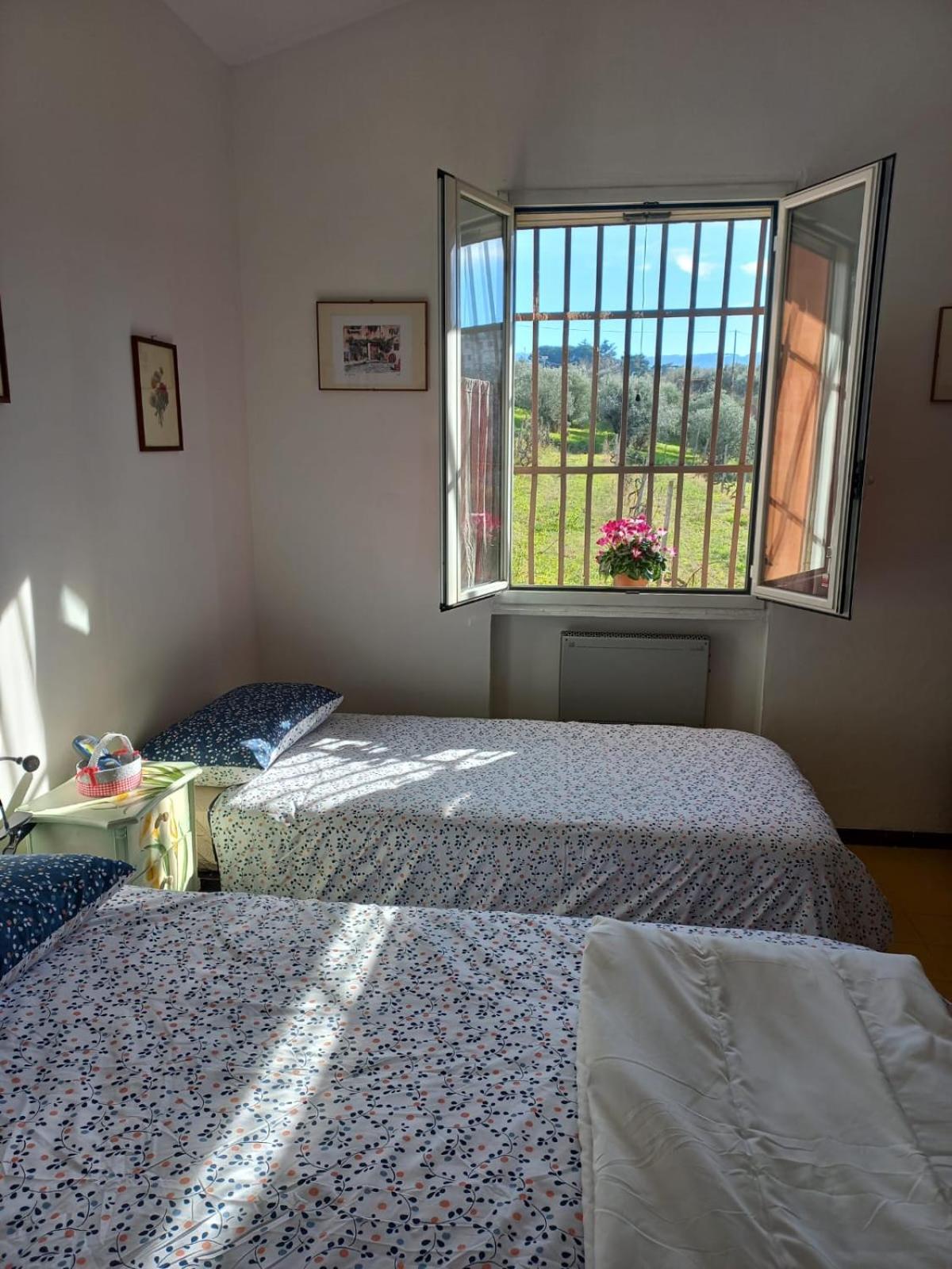 フラスカティ Poggio Agli Uliviヴィラ 部屋 写真