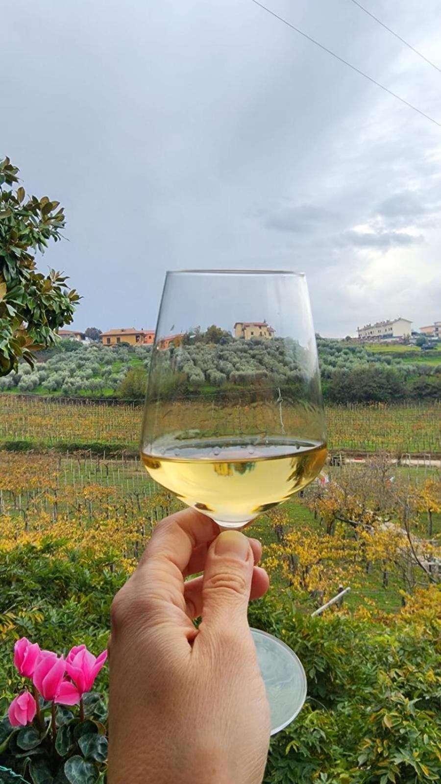 フラスカティ Poggio Agli Uliviヴィラ エクステリア 写真