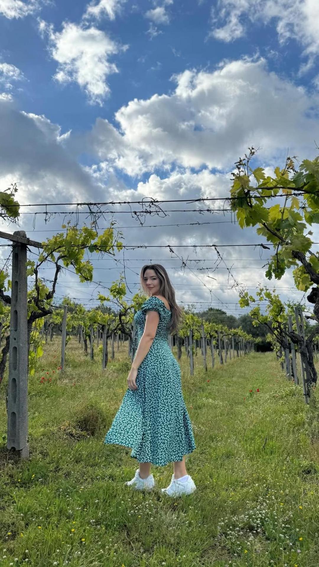 フラスカティ Poggio Agli Uliviヴィラ エクステリア 写真